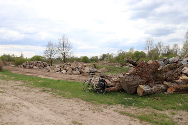 Týniště nad Orlicí, 26.4.2020
Orlice - revitalizace ramene Jordán.
Klíčová slova: Týniště nad Orlicí Orlice Jordán