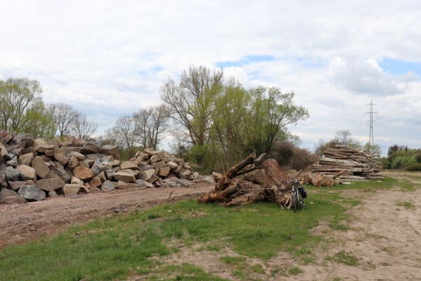Týniště nad Orlicí, 26.4.2020
Orlice - revitalizace ramene Jordán.
Mots-clés: Týniště nad Orlicí Orlice Jordán