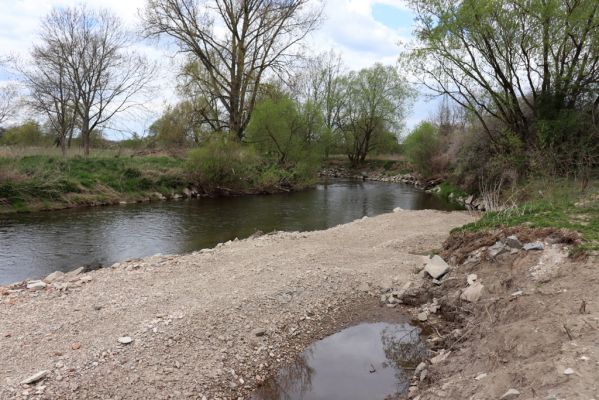 Týniště nad Orlicí, 26.4.2020
Orlice - revitalizace ramene Jordán.
Klíčová slova: Týniště nad Orlicí Orlice Jordán