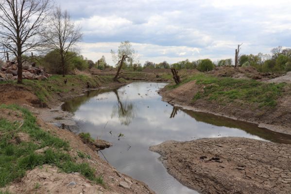 Týniště nad Orlicí, 26.4.2020
Orlice - revitalizace ramene Jordán.
Klíčová slova: Týniště nad Orlicí Orlice Jordán