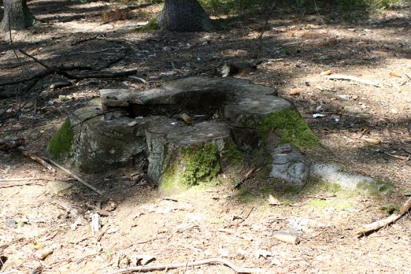 Týniště nad Orlicí, 30.8.2007
Rezervace U Glorietu. Podříznutý buk. Praktická verze obnovy přirozených českých lesů v pojetí novodobých lesnických myslitelů...
Keywords: Týniště nad Orlicí U Glorietu