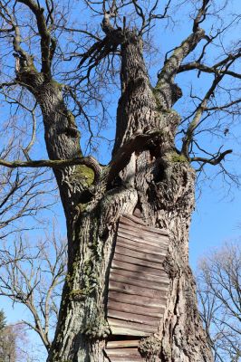 Týniště nad Orlicí, 9.3.2022
U Houkvice.
Klíčová slova: Týniště nad Orlicí U Houkvice