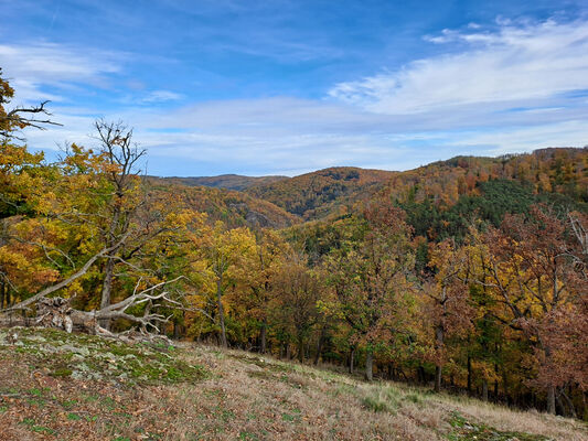 Skryje, 29.10.2023
Zelený vrch.
Keywords: Křivoklátsko Skryje Týřov Zelený vrch