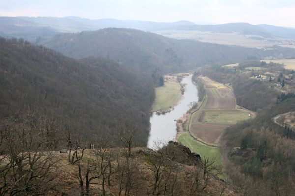 Karlova Ves - rezervace Týřov, 30.3.2009
Pohled z Týřovických skal na zříceninu Týřova a Berounku.
Keywords: Křivoklátsko Týřov Týřovické skály Berounka Cardiophorus erichsoni