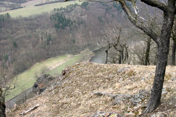 Karlova Ves - rezervace Týřov, 30.3.2009
Lesostepní formace na jihozápadním svahu nad Týřovickými skalami. 
Keywords: Křivoklátsko Týřov Týřovické skály Berounka