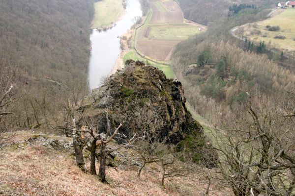 Karlova Ves - rezervace Týřov, 30.3.2009
Lesostepní formace na jihozápadním svahu nad Týřovickými skalami. 
Keywords: Křivoklátsko Týřov Týřovické skály Berounka Cardiophorus erichsoni