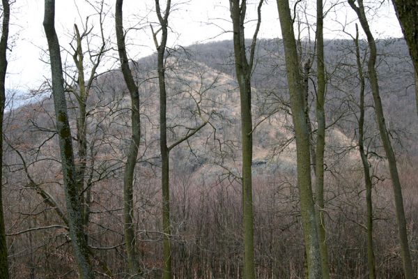 Karlova Ves - rezervace Týřov, 30.3.2009
Pohled z hřbetu nad Týřovickými skalami na Velkou Pleš. 
Klíčová slova: Křivoklátsko Týřov Týřovické skály Velká Pleš