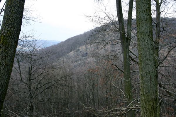 Karlova Ves - rezervace Týřov, 30.3.2009
Pohled z hřbetu nad Týřovickými skalami na Velkou Pleš. 
Schlüsselwörter: Křivoklátsko Týřov Týřovické skály Velká Pleš