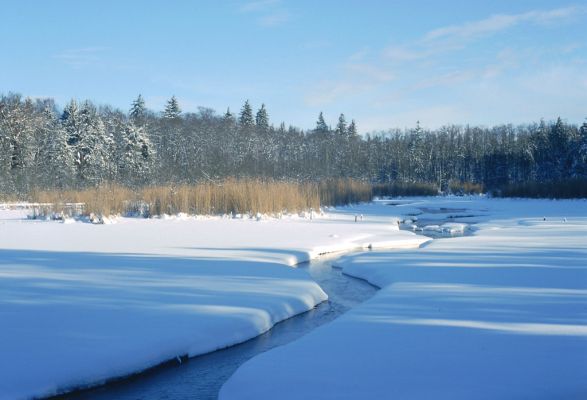 Petrovice nad Orlicí, rezervace U Houkvice, leden 2002
Vypuštěný rybník Velká Houkvice. 
Mots-clés: Týniště nad Orlicí Petrovice U Houkvice Velká Houkvice