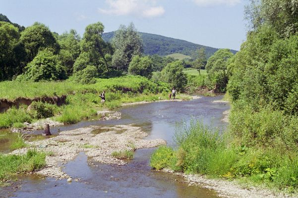 Ubľa, řeka Ublianka, 15.6.2002
Meandr řeky jihovýchodně od obce. Kontrolní návštěva biotopu kovaříka Oedostethus tenuicornis po jedenácti letech od jeho objevení. 
Klíčová slova: Ubľa řeka Ublianka Oedostethus tenuicornis Václav Dušánek Martin Samek