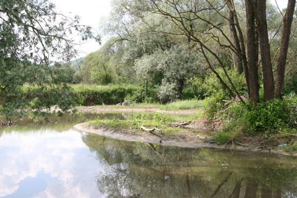 Ubľa, 17.6.2011
Bahnité náplavy Ublianky.


Klíčová slova: Ubľa řeka Ublianka