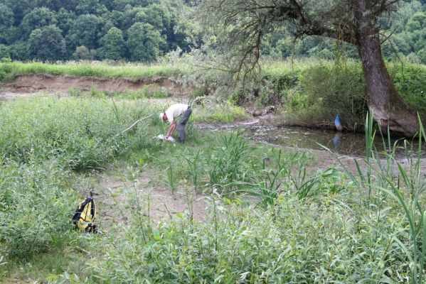 Ubľa, 17.6.2011
Bahnité náplavy Ublianky - biotop kovaříka Oedostethus tenuicornis.



Mots-clés: Ubľa řeka Ublianka Oedostethus tenuicornis Petr Brůha