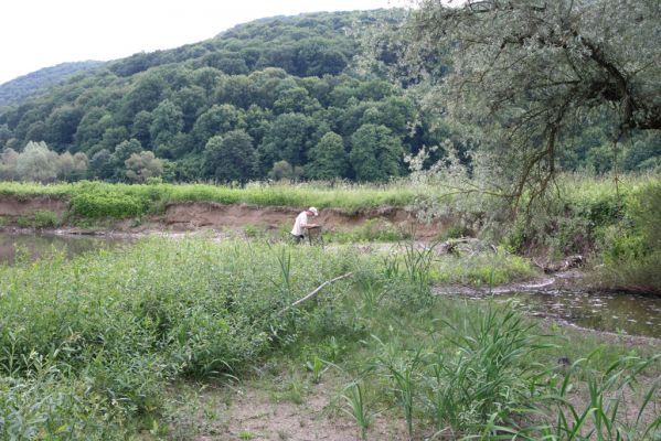 Ubľa, 17.6.2011
Bahnité náplavy Ublianky - biotop kovaříka Oedostethus tenuicornis.


Klíčová slova: Ubľa řeka Ublianka Oedostethus tenuicornis Petr Brůha