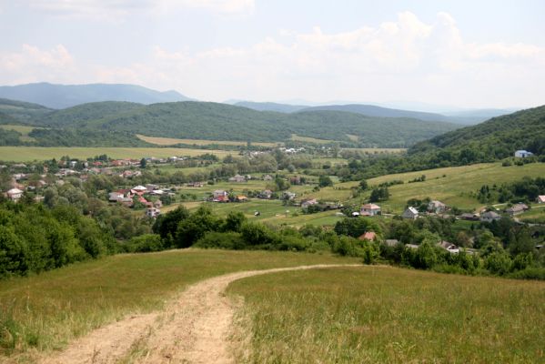 Ubľa, 17.6.2011
Východní svah vrchu Polom - louka nad obcí. Biotop kovaříka Athous gottwaldi.



Mots-clés: Ubľa Polom Athous gottwaldi