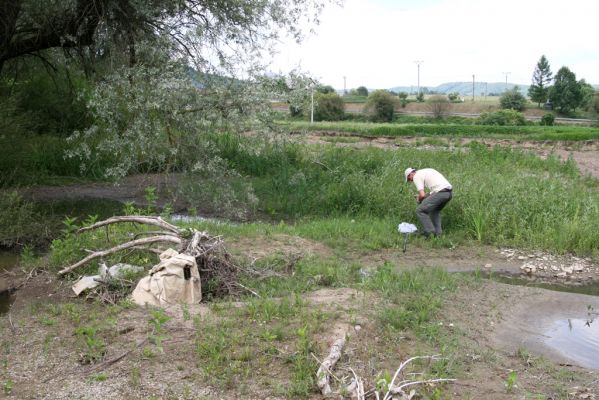 Ubľa, 17.6.2011
Bahnité náplavy Ublianky - biotop kovaříka Oedostethus tenuicornis.


Mots-clés: Ubľa řeka Ublianka Oedostethus tenuicornis Petr Brůha