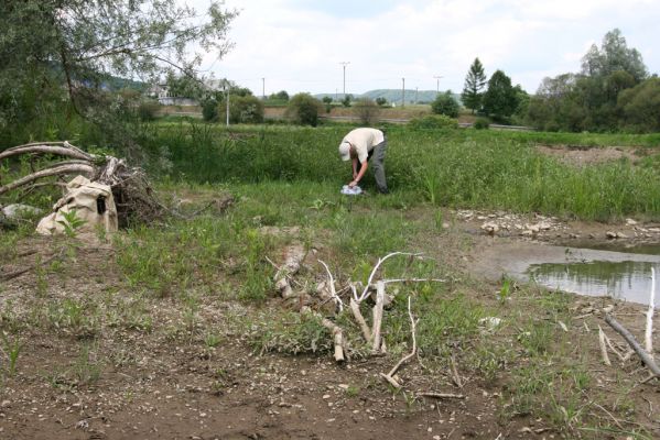 Ubľa, 17.6.2011
Bahnité náplavy Ublianky - biotop kovaříka Oedostethus tenuicornis.



Schlüsselwörter: Ubľa řeka Ublianka Oedostethus tenuicornis Petr Brůha