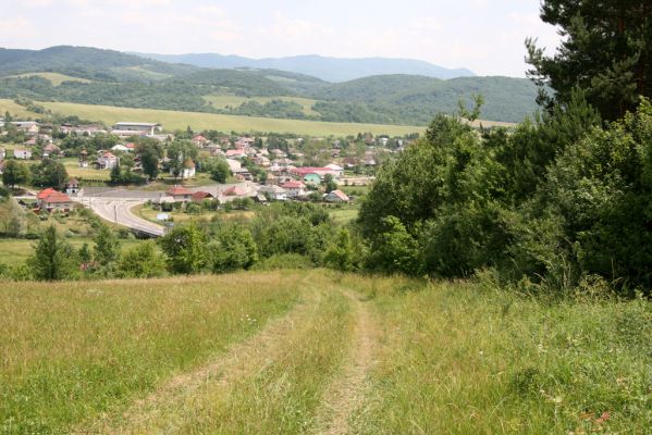 Ubľa, 17.6.2011
Východní svah vrchu Polom. Louka nad obcí.



Mots-clés: Ubľa Polom Athous gottwaldi mollis