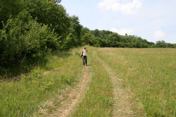 Ubľa, 17.6.2011
Východní svah vrchu Polom. Louka nad obcí.



Schlüsselwörter: Ubľa Polom Athous gottwaldi mollis Petr Brůha