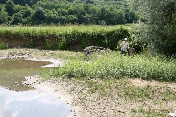 Ubľa, 17.6.2011
Bahnité náplavy Ublianky - biotop kovaříka Oedostethus tenuicornis.


Mots-clés: Ubľa řeka Ublianka Oedostethus tenuicornis Petr Brůha