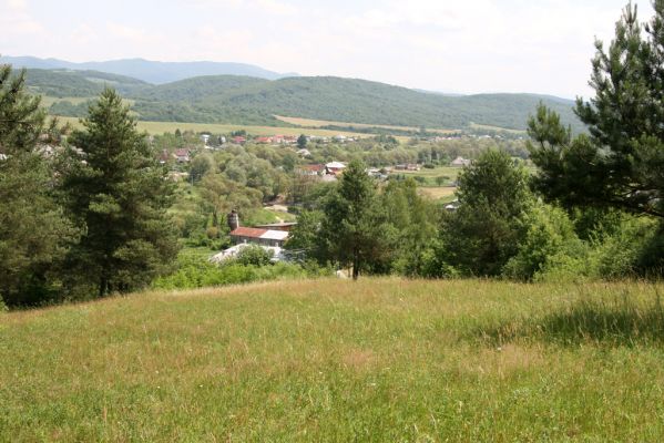 Ubľa, 17.6.2011
Východní svah vrchu Polom. Louka nad obcí.

Mots-clés: Ubľa Polom Athous gottwaldi mollis