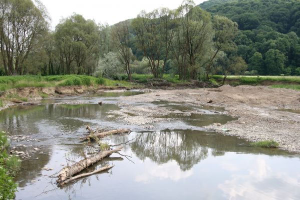 Ubľa, 17.6.2011
Štěrkoviště v náplavech Ublianky. Takto dokázaly rozšířit koryto povodně z roku 2007.



Klíčová slova: Ubľa řeka Ublianka