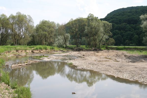 Ubľa, 17.6.2011
Štěrkoviště v náplavech Ublianky. Takto dokázaly rozšířit koryto povodně z roku 2007.


Keywords: Ubľa řeka Ublianka