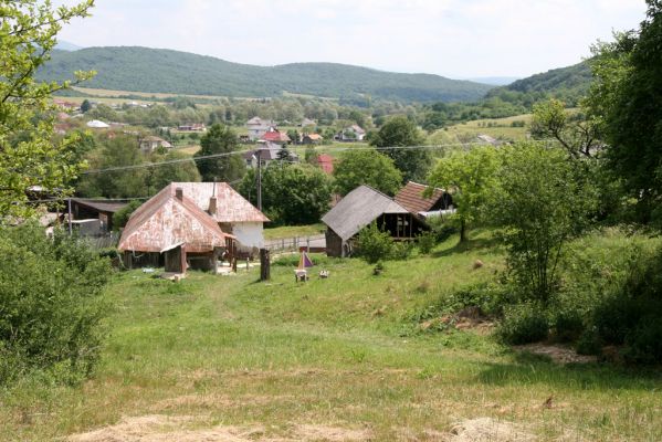 Ubľa, 17.6.2011
Východní svah vrchu Polom. Políčko zarostlé trávou. 



Keywords: Ubľa Polom Athous gottwaldi