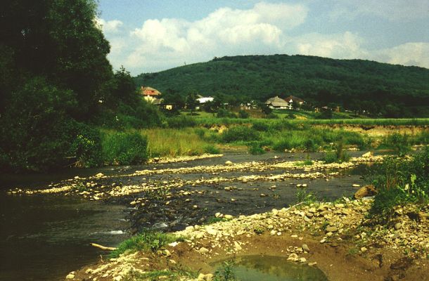 Ubľa, řeka Ublianka, 22.6.1991
Meandr řeky na jihovýchodním okraji obce. Štěrkové a bahnité břehy - biotop kovaříka Oedostethus tenuicornis
Keywords: Ubľa Ublianka Oedostethus tenuicornis