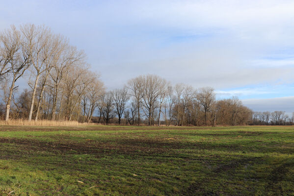 Trusnov, Opočno, 12.1.2023
Meandry Loučné.
Schlüsselwörter: Opočno meandry Loučné