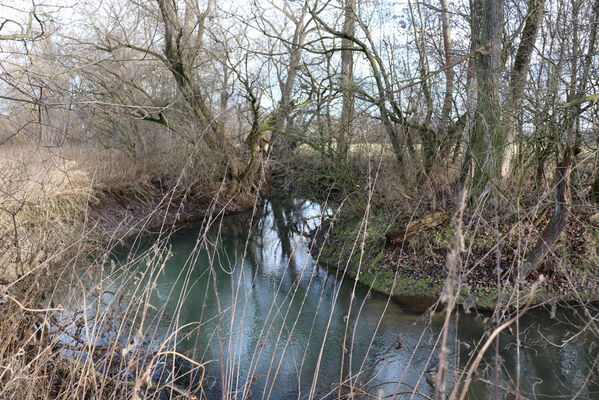 Trusnov, Opočno, 12.1.2023
Meandry Loučné.
Schlüsselwörter: Opočno meandry Loučné