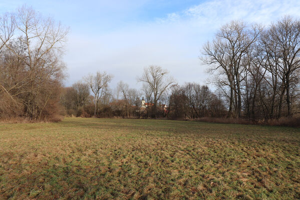 Trusnov, Opočno, 12.1.2023
Meandry Loučné.
Klíčová slova: Opočno meandry Loučné