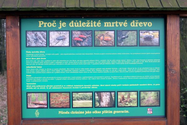 Uhersko, 4.4.2012
PR Bažantnice u Uherska. Pěkné povídání, ale k čemu je dobré, když v lese necháme jen jeden starý strom...



Klíčová slova: Uhersko PR Bažantnice u Uherska