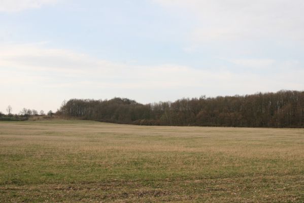 Uhersko, 4.4.2012
PR Bažantnice u Uherska.



Klíčová slova: Uhersko PR Bažantnice u Uherska