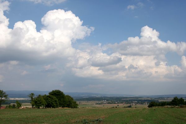 Uhřinovice, 11.9.2008
Stará třešňovka na svazích jihozápadně od obce u silnice na Ježkovice. Pohled na východ na hřeben Orlických hor.
Mots-clés: Uhřinovice třešňovka Orlické hory Anthaxia candens