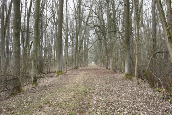 Úlibice, 25.3.2018
Úlibická bažantnice
Klíčová slova: Úlibice Úlibická bažantnice