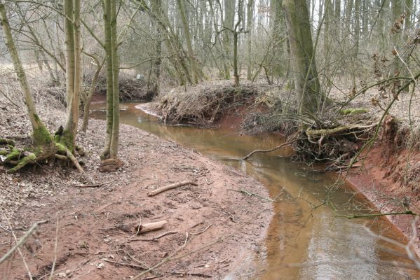 Úlibice, 25.3.2018
Úlibická bažantnice - Úlibický potok.
Klíčová slova: Úlibice Úlibická bažantnice