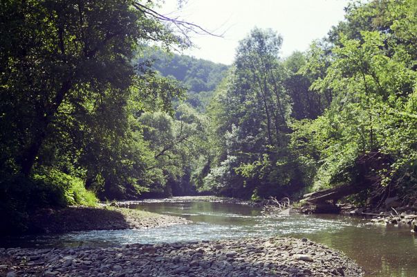 Ulič, 15.6.2002
Ulička před hranicí s Ukrajinou.



Klíčová slova: Ulič řeka Ulička