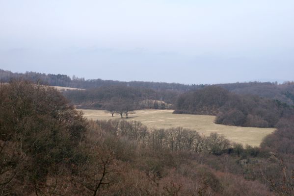 Stebno, 27.3.2016
Pohled z vyhlídky Skály na solitérní duby u obce Podlešín.
Klíčová slova: Stebno vyhlídka Skály Podlešín