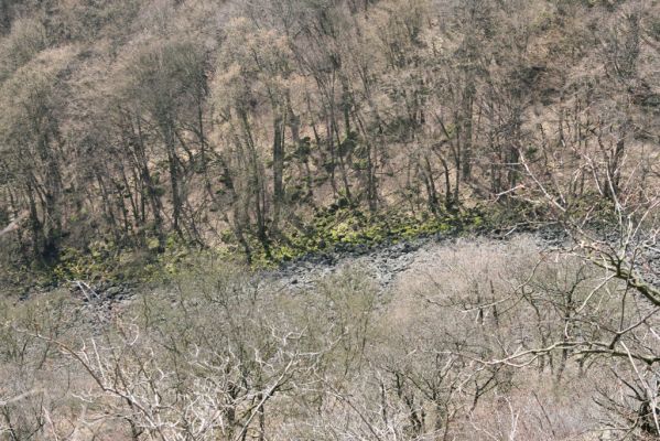 Stebno, 27.3.2016
Vaňovský vrch - Josefínka, suťové pole na jižním svahu.



Keywords: Stebno Vaňovský vrch Josefínka