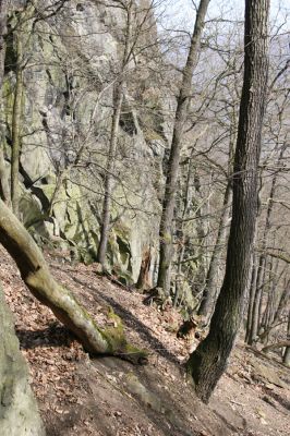 Stebno, 27.3.2016
Vaňovský vrch - Josefínka, suťový les.



Klíčová slova: Stebno Vaňovský vrch Josefínka