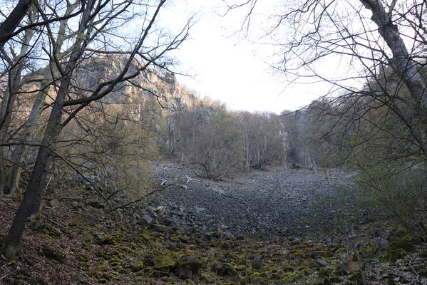 Ústí nad Labem, Střekov, 10.4.2023
Pod Výřími skalami.
Keywords: Ústí nad Labem Střekov České středohoří Průčelská rokle Výří skály