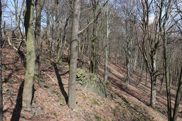 Malečov, Němčí, 10.4.2023
Vrch Modřín.
Keywords: Malečov Němčí České Středohoří vrch Modřín