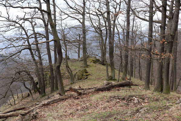 Ústí nad Labem, Střekov, 10.4.2023
Výří skály.
Schlüsselwörter: Ústí nad Labem Střekov České středohoří Průčelská rokle Výří skály