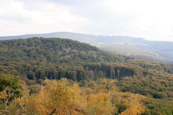 Veľký Klíž, 8.10.2016
Vrch Malá Suchá - pohled na Veľkou Suchou.
Klíčová slova: Veľký Klíž vrch Veľká Suchá Malá Suchá