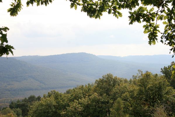 Veľký Klíž, 8.10.2016
Vrch Malá Suchá - pohled na vrch Prostredná skala.
Mots-clés: Veľký Klíž vrch Malá Suchá Prostredná skala