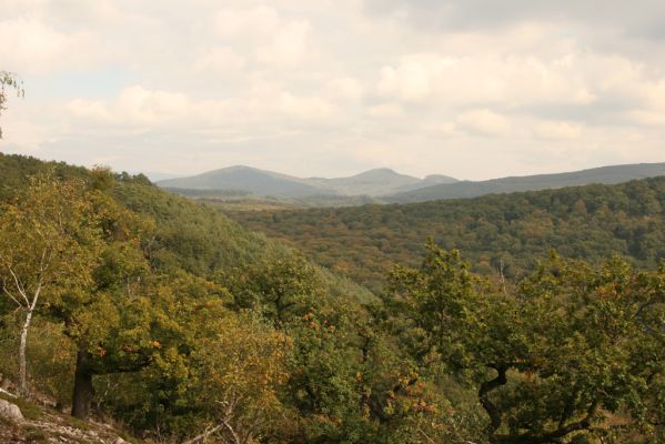Veľký Klíž, 8.10.2016
Vrch Malá Suchá - pohled na Vtáčnik.
Klíčová slova: Veľký Klíž vrch Malá Suchá Vtáčnik