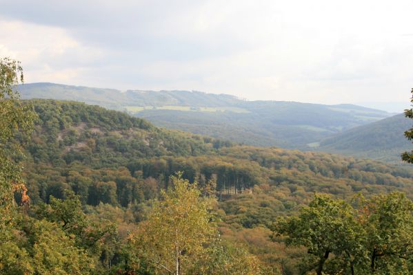 Veľký Klíž, 8.10.2016
Vrch Malá Suchá - pohled ke Skýcovu.
Keywords: Veľký Klíž vrch Malá Suchá Veľká Suchá