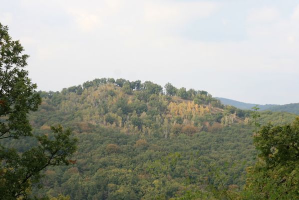 Veľký Klíž, 8.10.2016
Vrch Malá Suchá - pohled na vrch Malá Ostrá.
Klíčová slova: Veľký Klíž vrch Malá Suchá Malá Ostrá