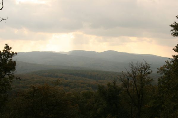 Veľký Klíž, 8.10.2016
Vrch Malá Suchá - pohled na Tríbeč.
Klíčová slova: Veľký Klíž vrch Veľká Suchá Tríbeč