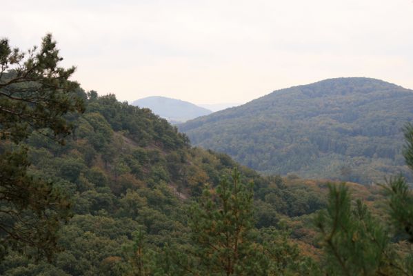 Veľký Klíž, 8.10.2016
Vrch Malá Suchá. Zleva Veľká Suchá, Kruh a Bralá.
Keywords: Veľký Klíž vrch Malá Suchá
